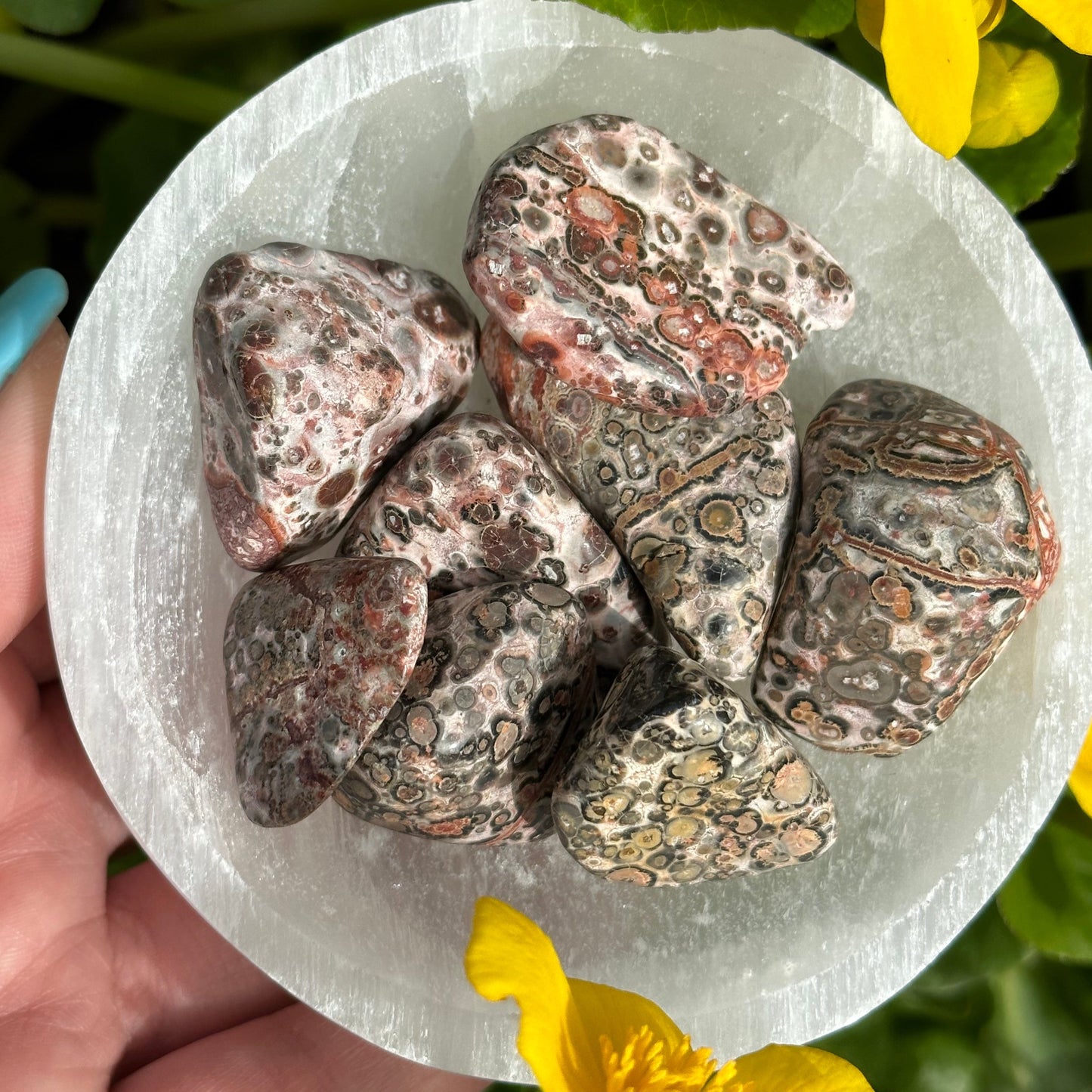 Luipaard jaspis trommelsteen S/M