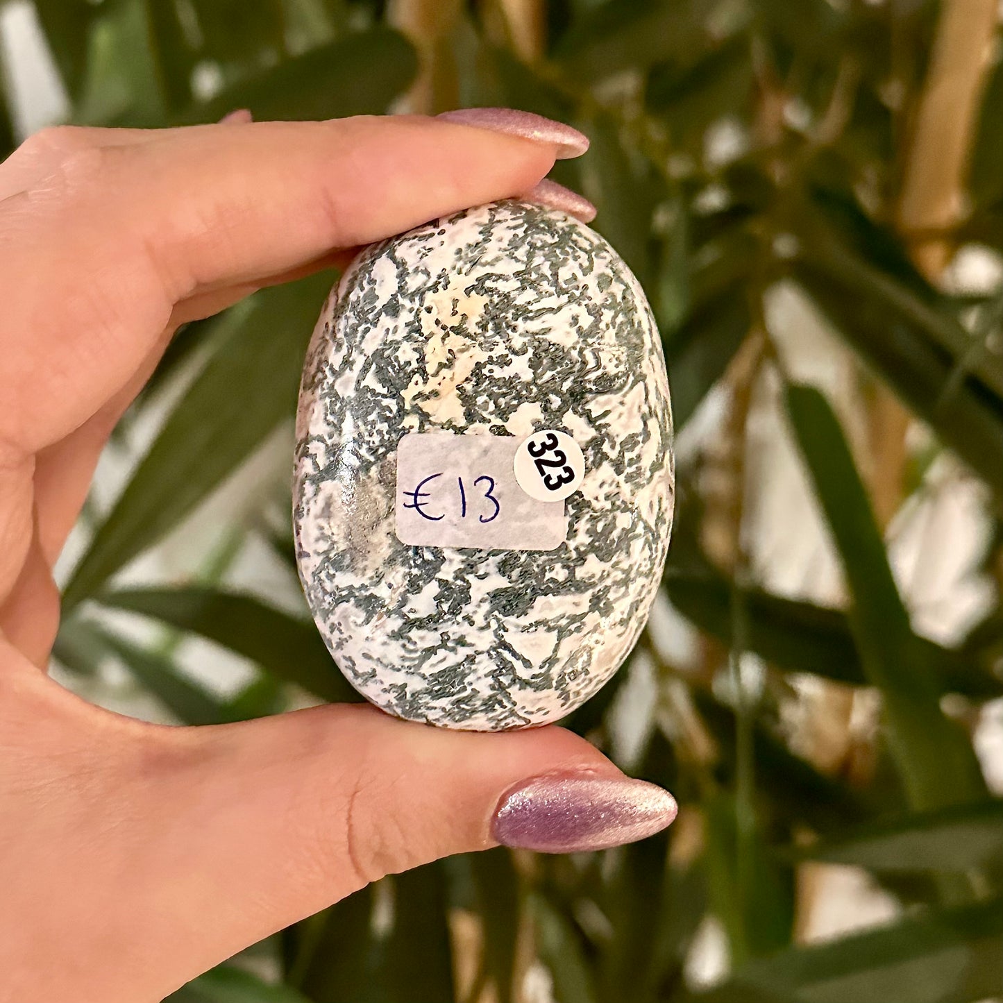 Boomagaat handsteen #323