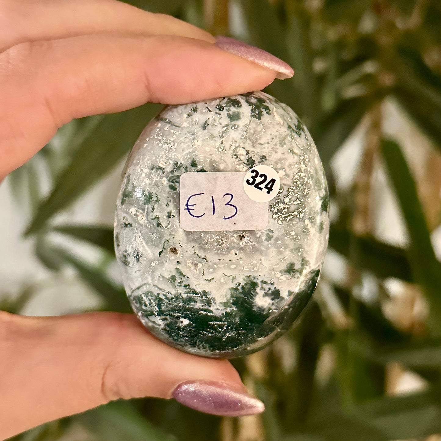 Boomagaat handsteen #324