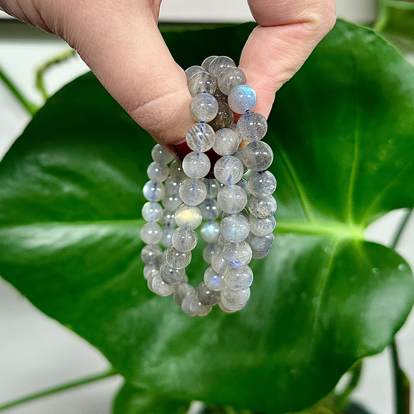 Labradoriet armband A kwaliteit