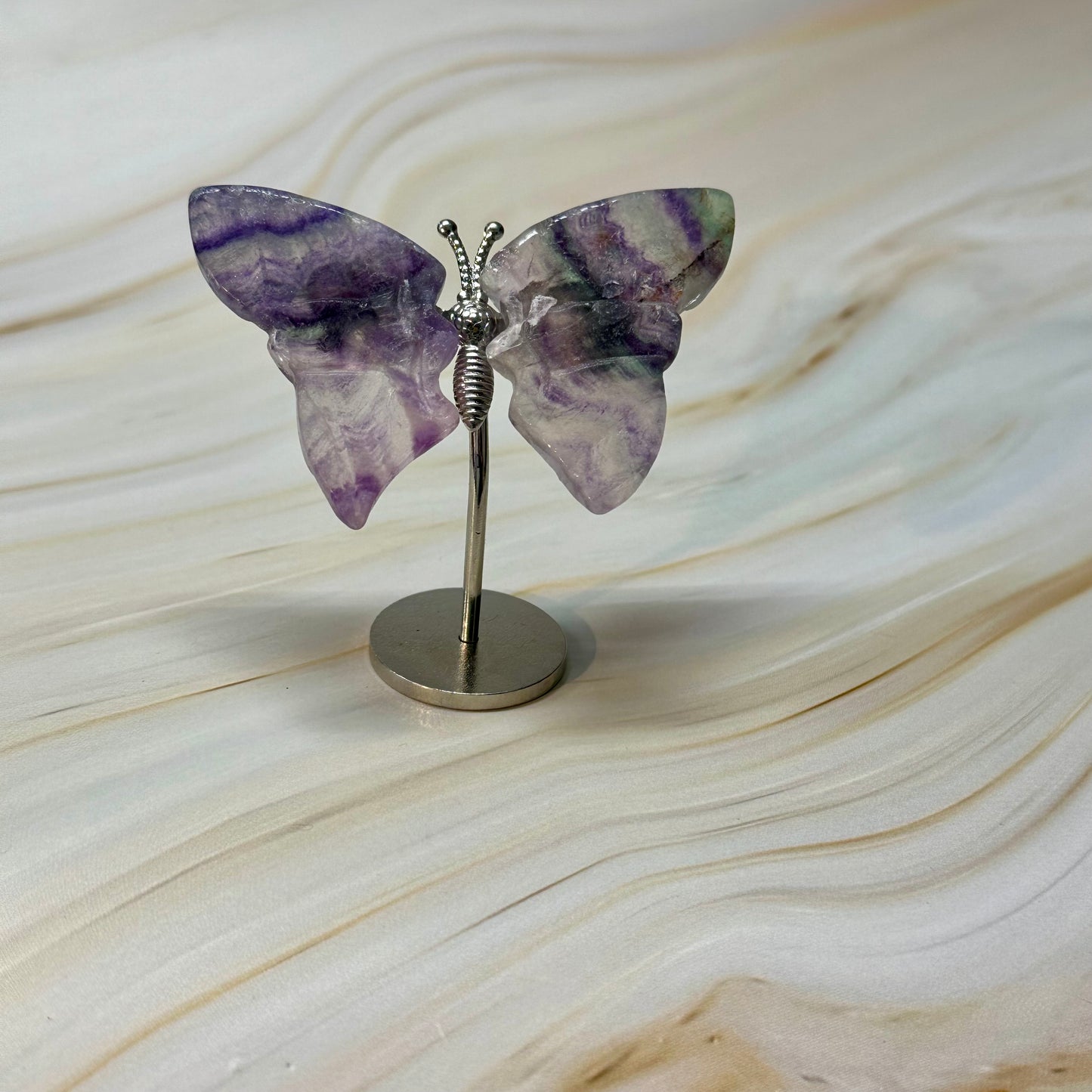 Kleine vlinder kneusje #54