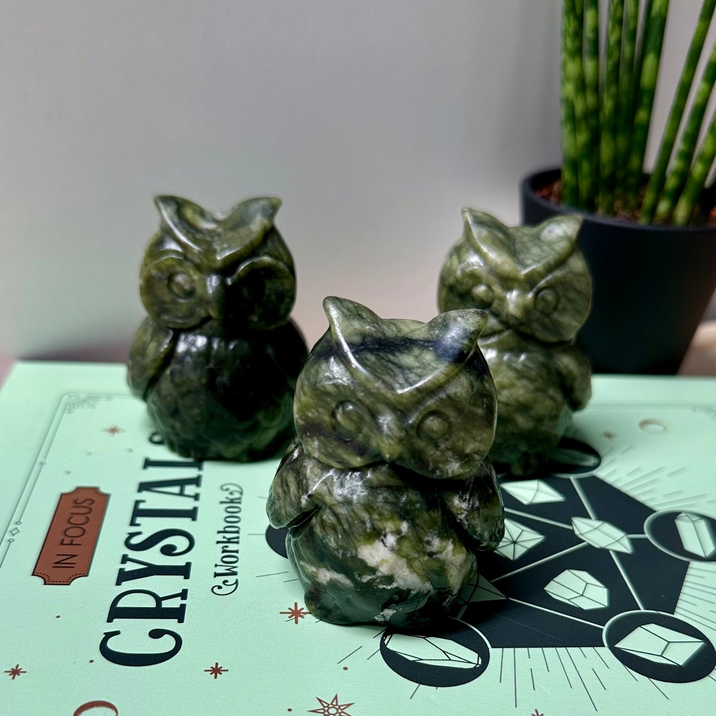 Groene jade uil
