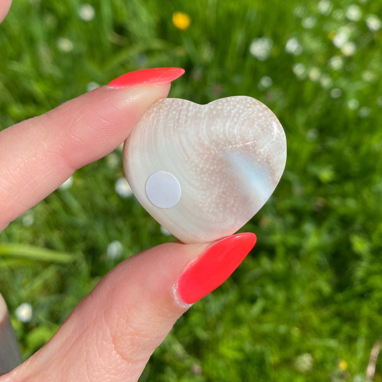 Eye of Saint Lucia hartje