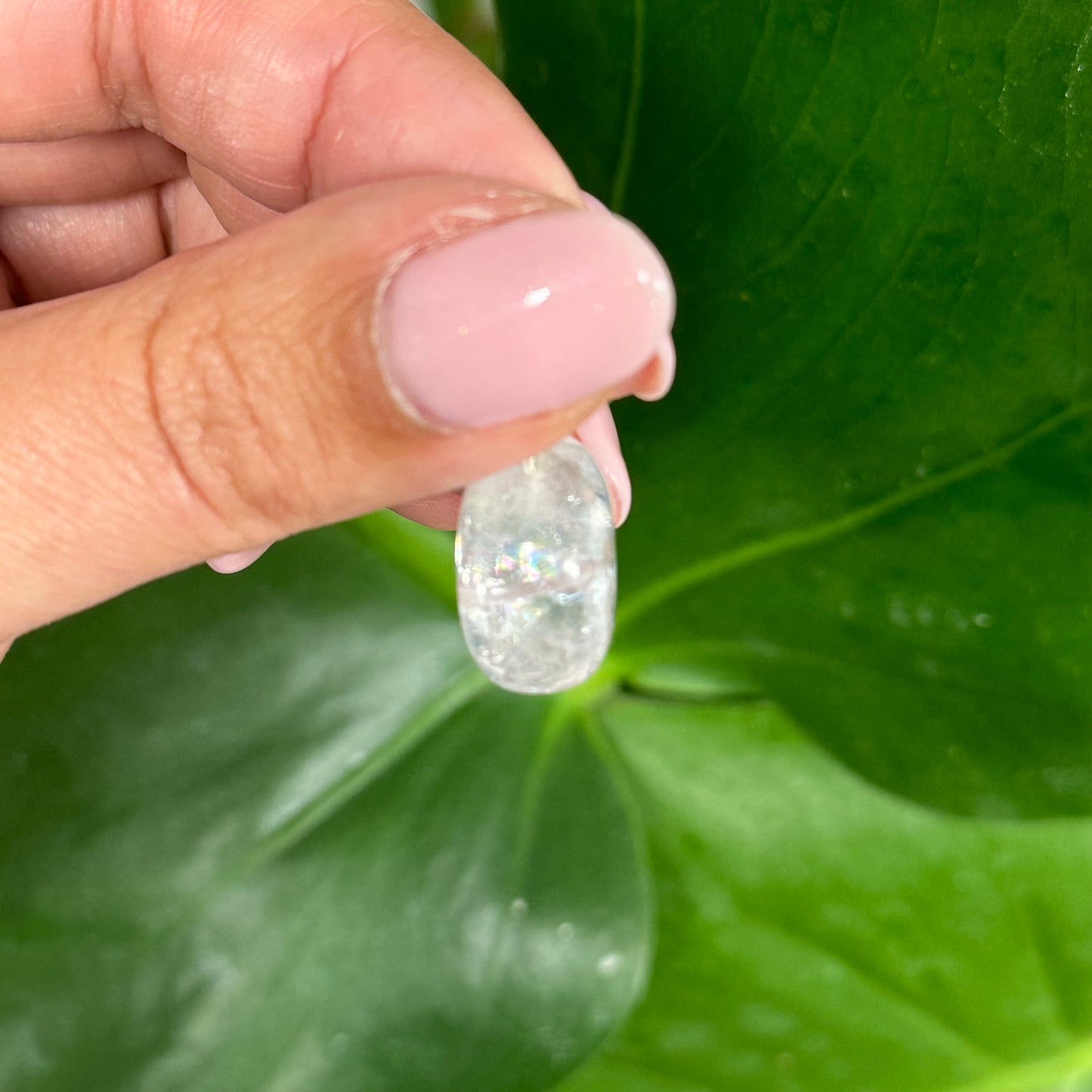 Calciet met regenbogen hangertje