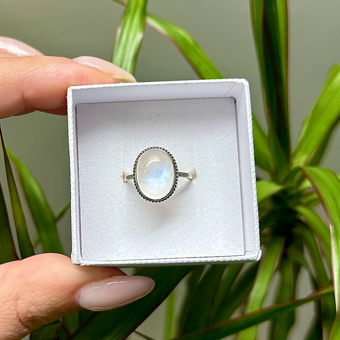 Maansteen ring 925 zilver