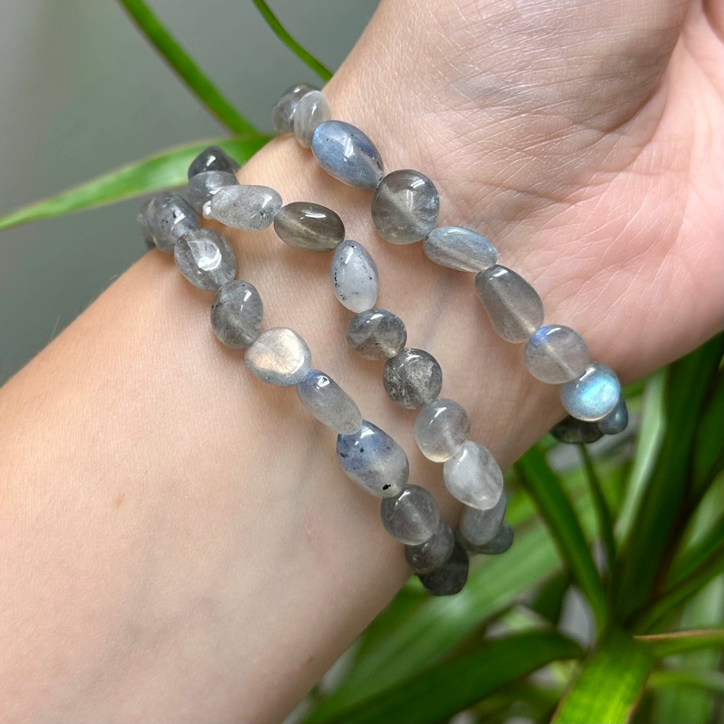 Labradoriet getrommelde armband