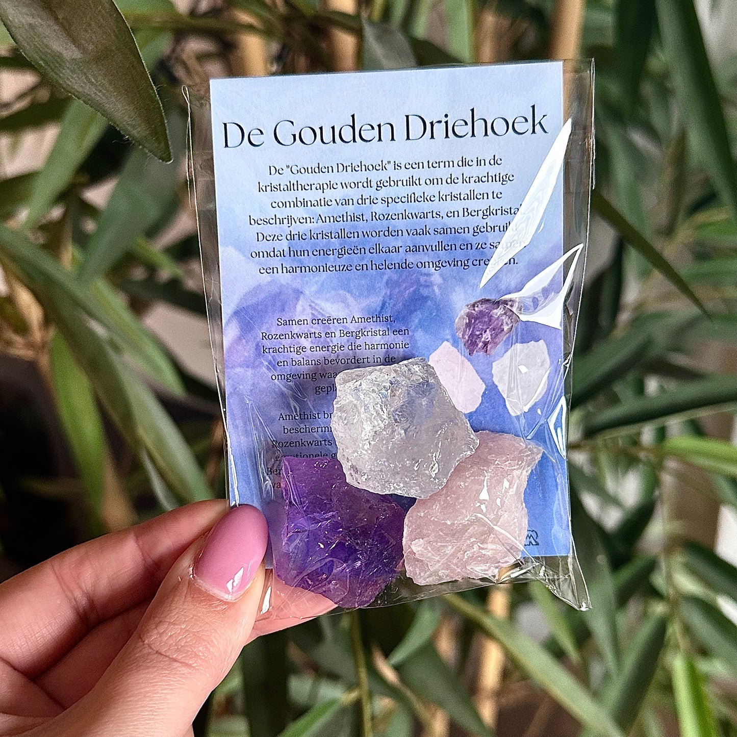 Gouden driehoek ruw in cadeauzakje