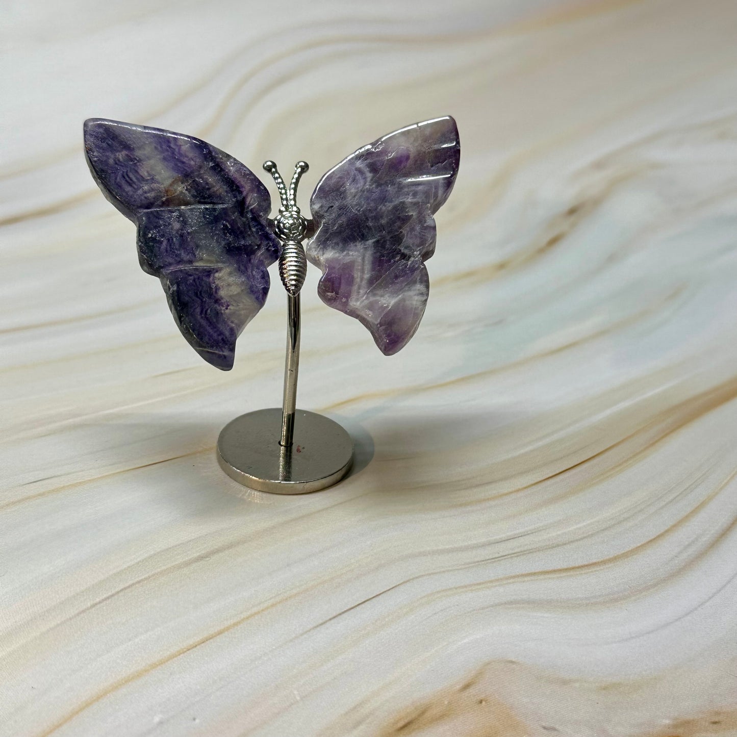 Kleine vlinder kneusje #56