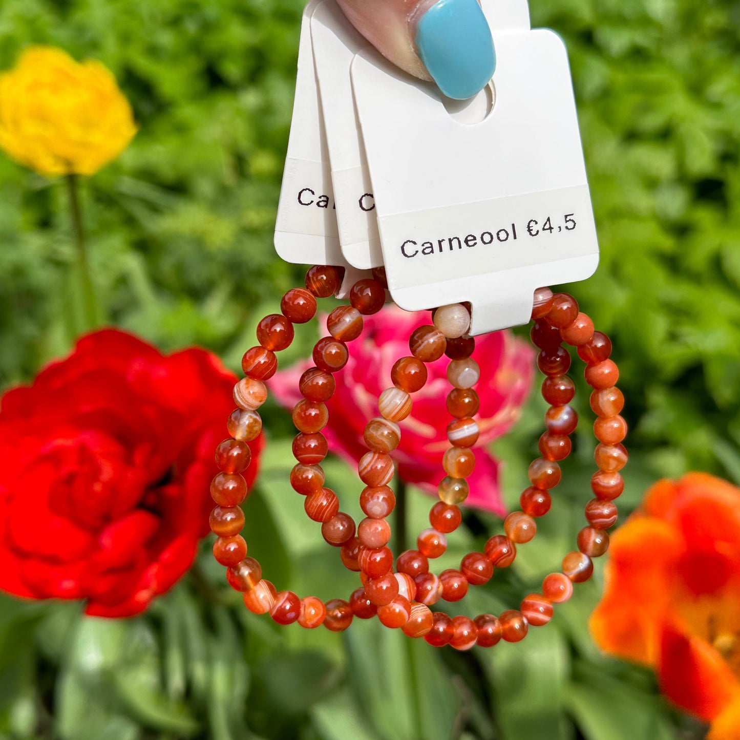Carneool armband