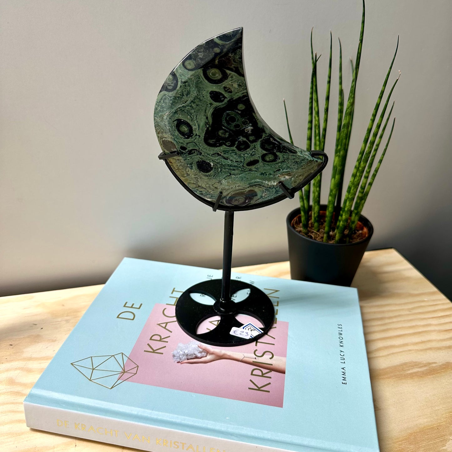 Kambaba jaspis manen