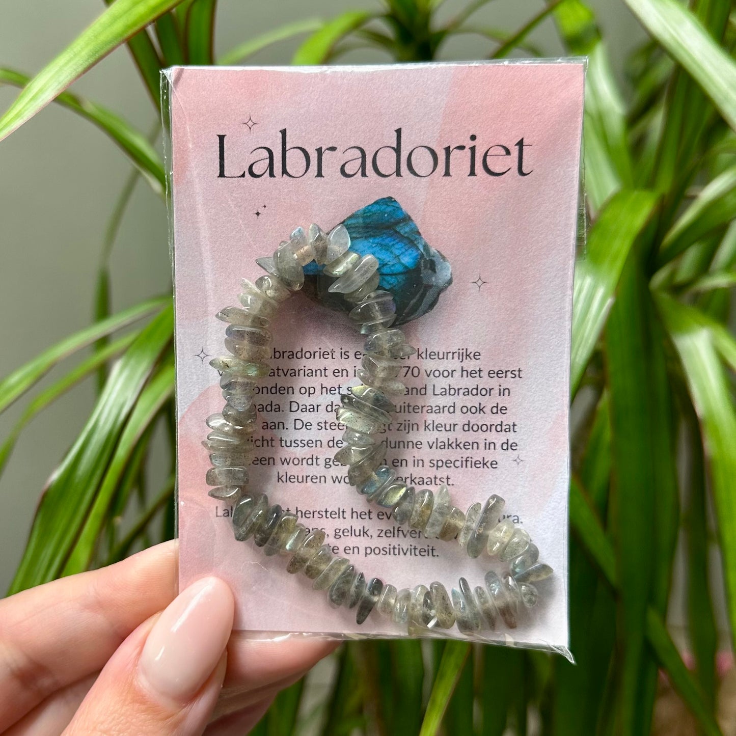 Chip armband in cadeauzakje