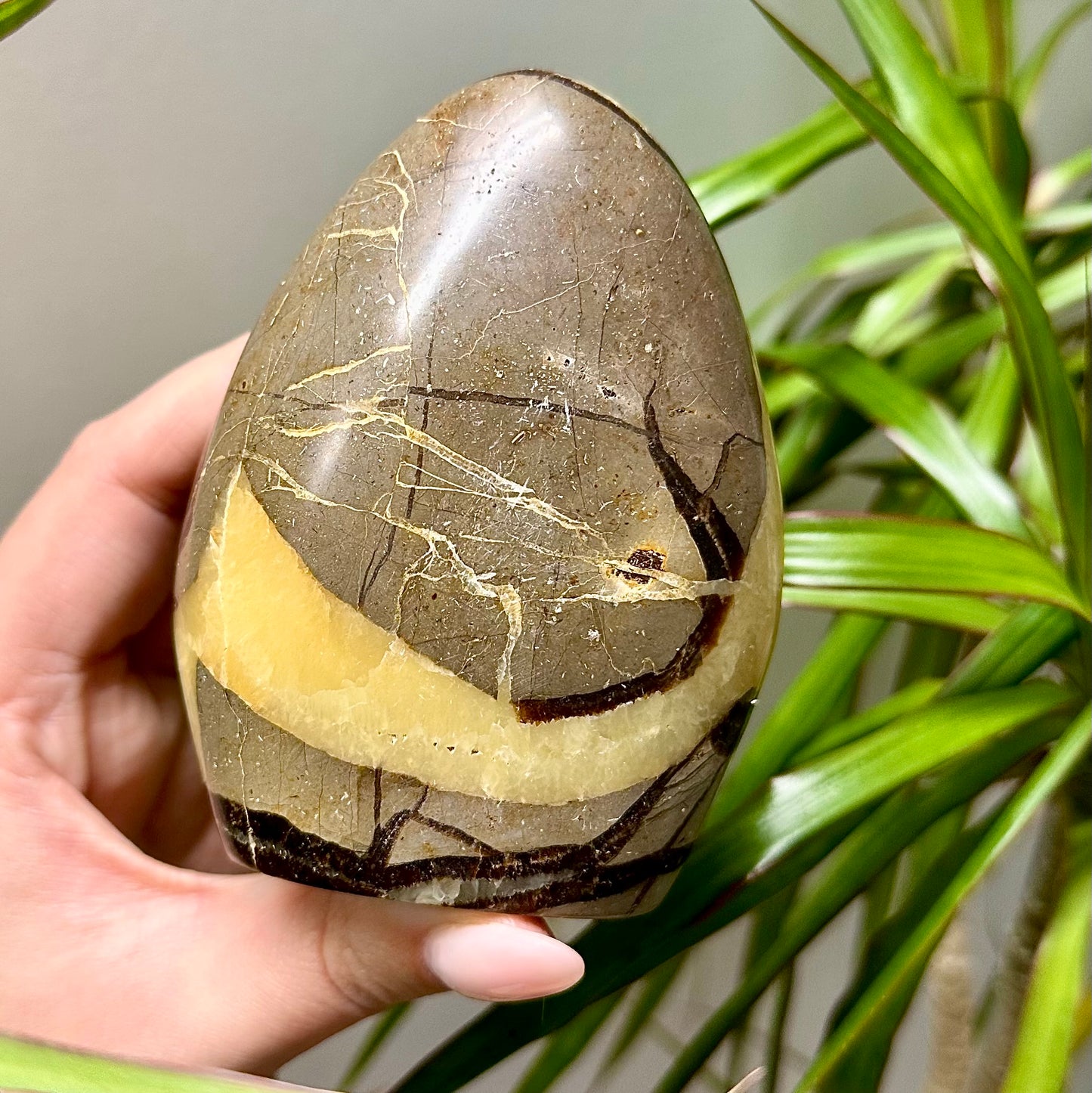 Septarie sculptuur #30