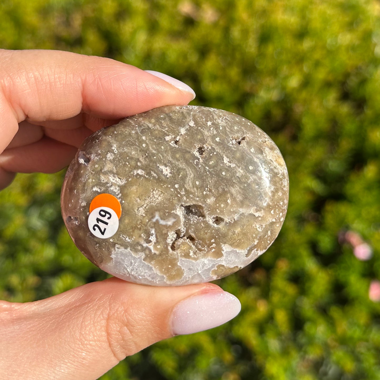 Oceaan jaspis handsteen #219