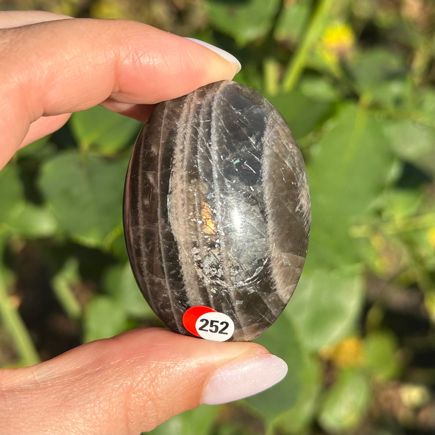 Zwarte maansteen handsteen #252