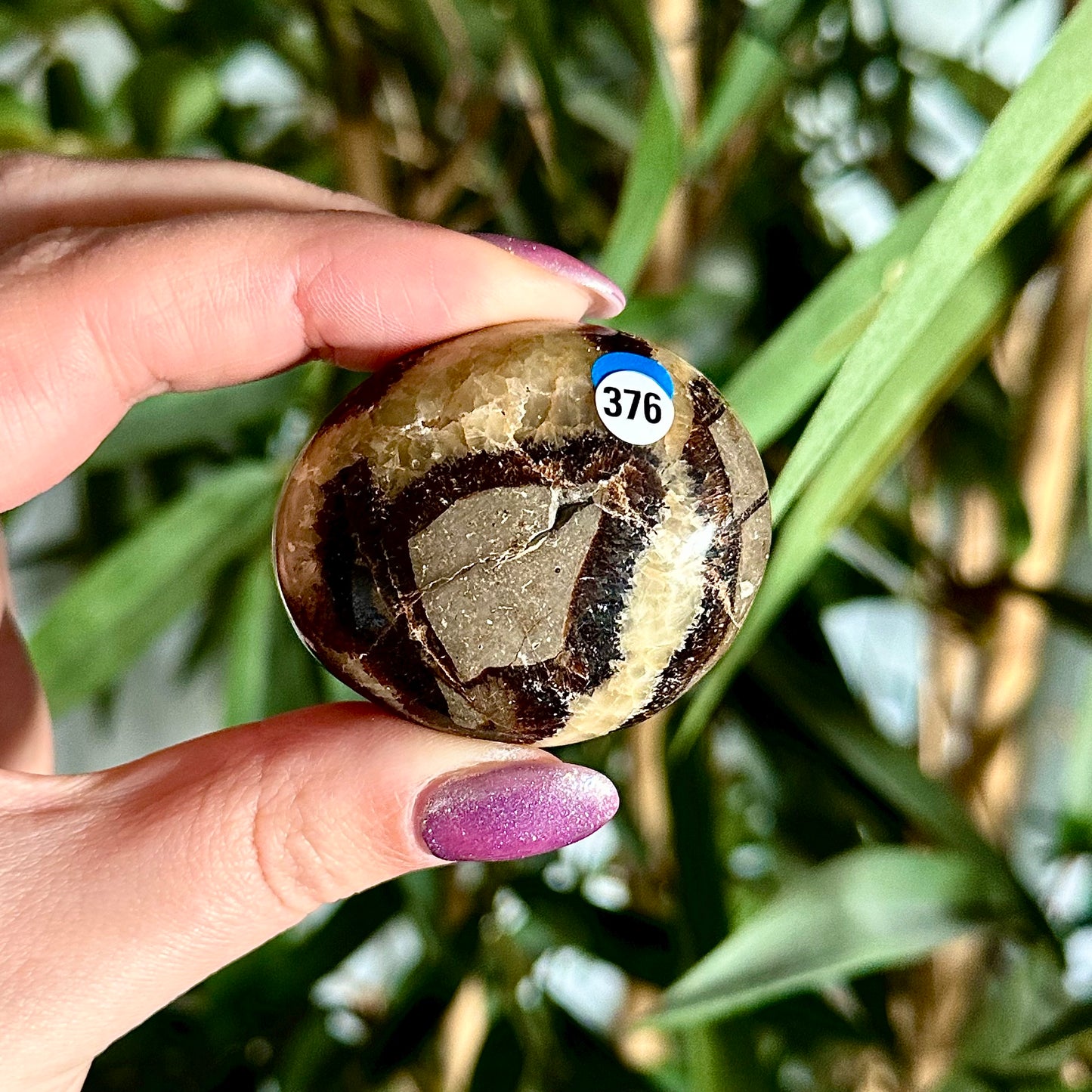 Septarie handsteen #476