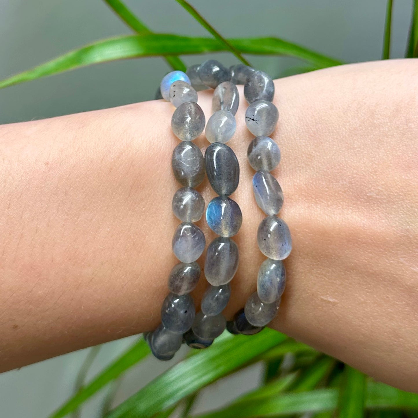 Labradoriet getrommelde armband
