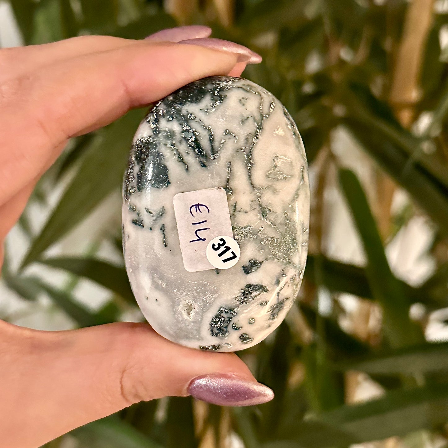 Boomagaat handsteen #317