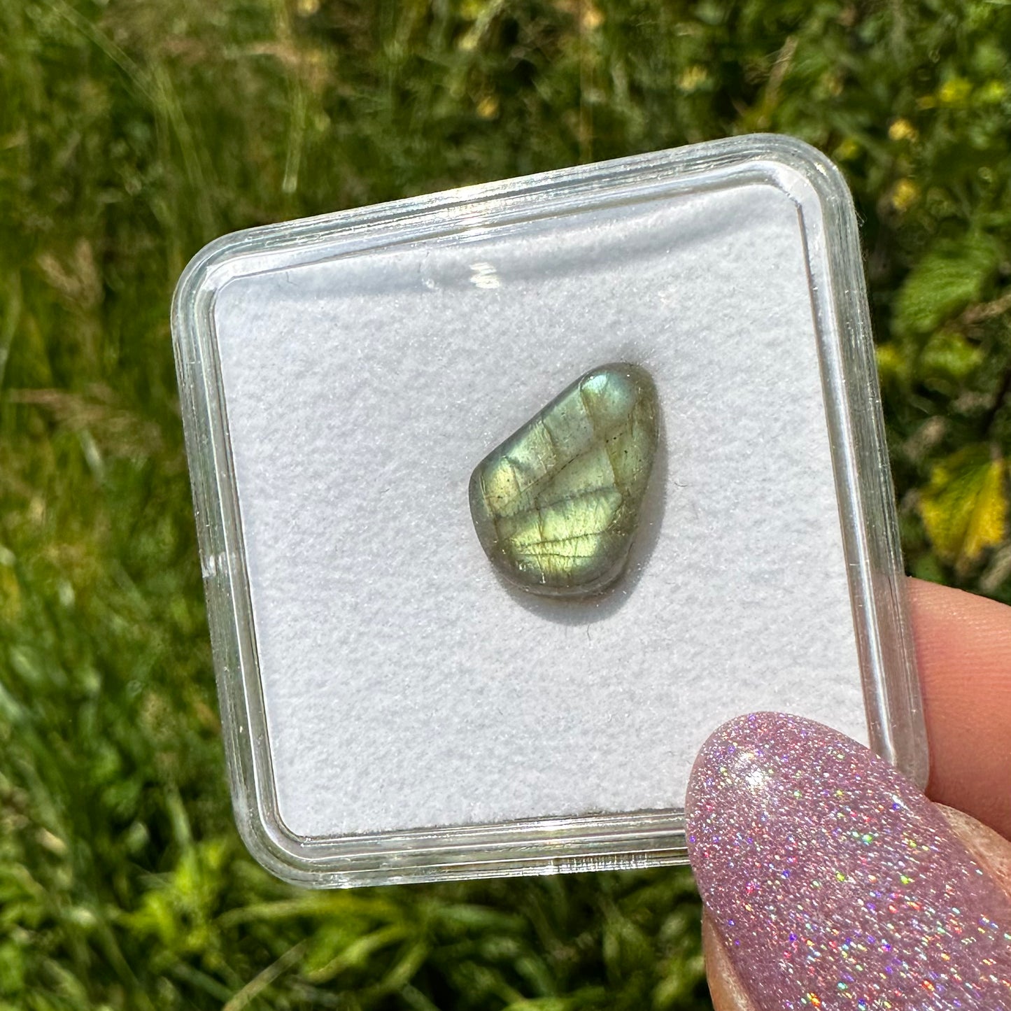 Labradoriet in doosje