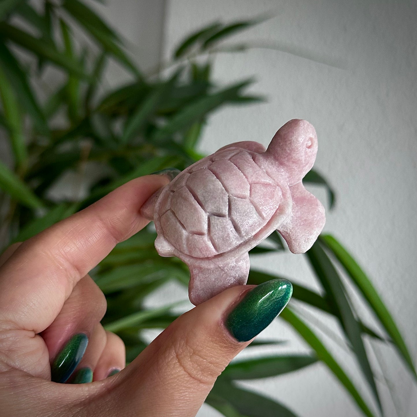 Roze Andes opaal schildpad