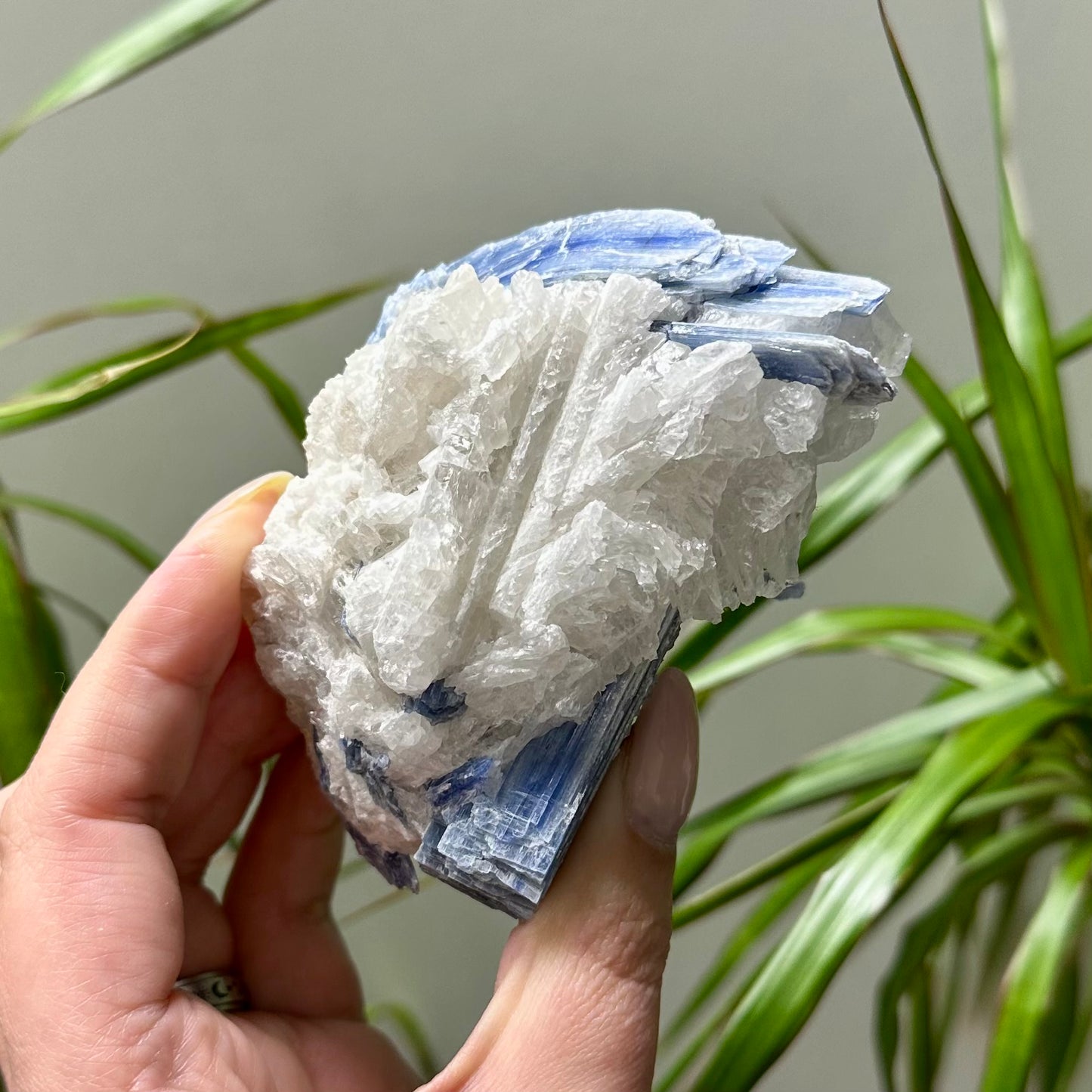 Ruw stuk kyaniet met kwarts