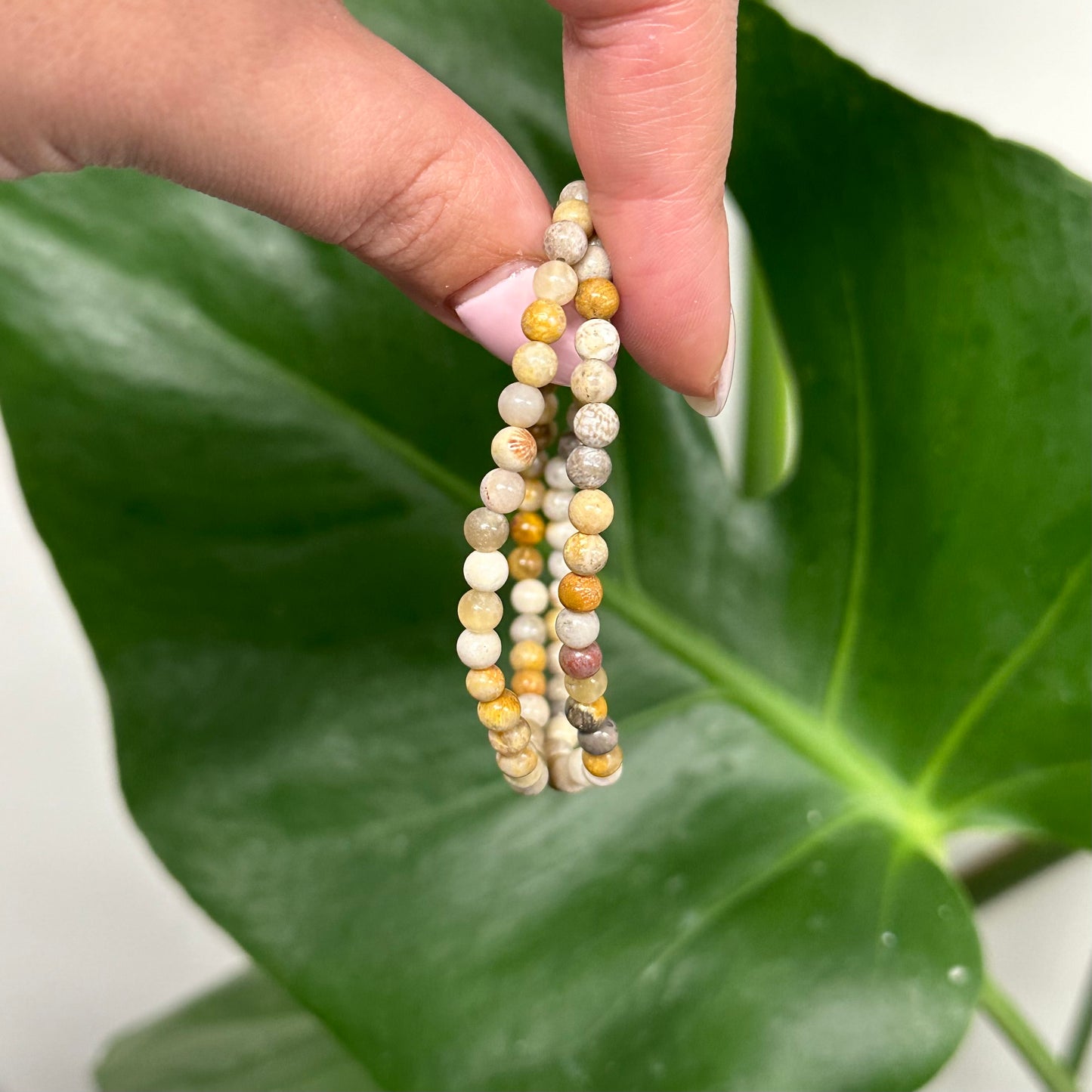 Fossiel koraal armband