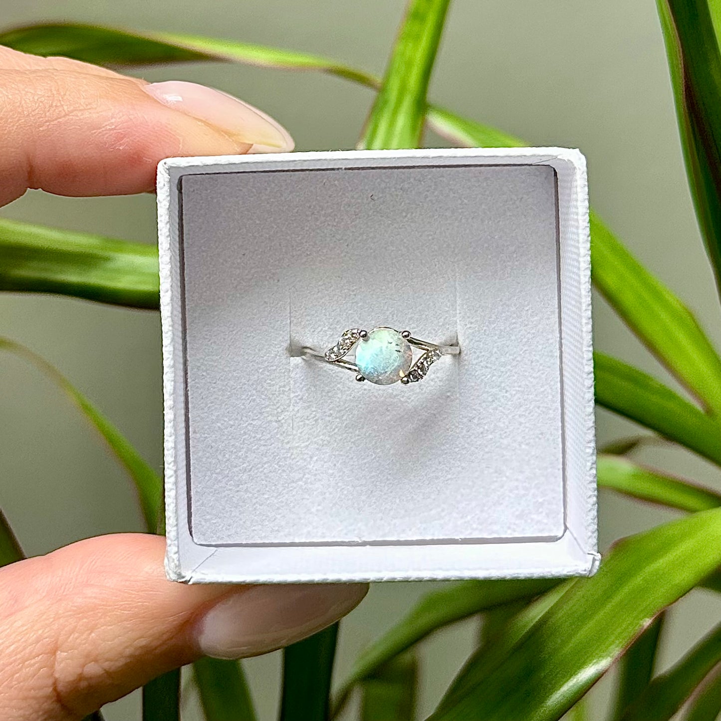 Labradoriet ringen 925 zilver