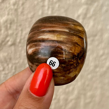 Versteend hout handstenen