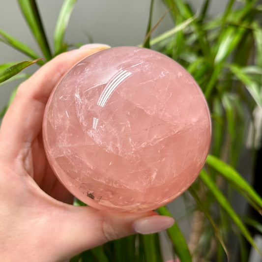 Rozenkwarts bol A kwaliteit XL