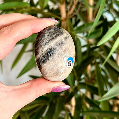 Zwarte maansteen handsteen #433