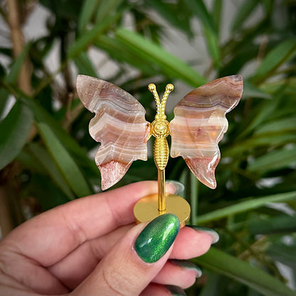 Kleine vlinder op standaard