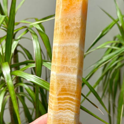 Oranje calciet toren