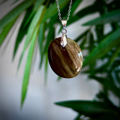 Versteend hout kettinghangers - zilver