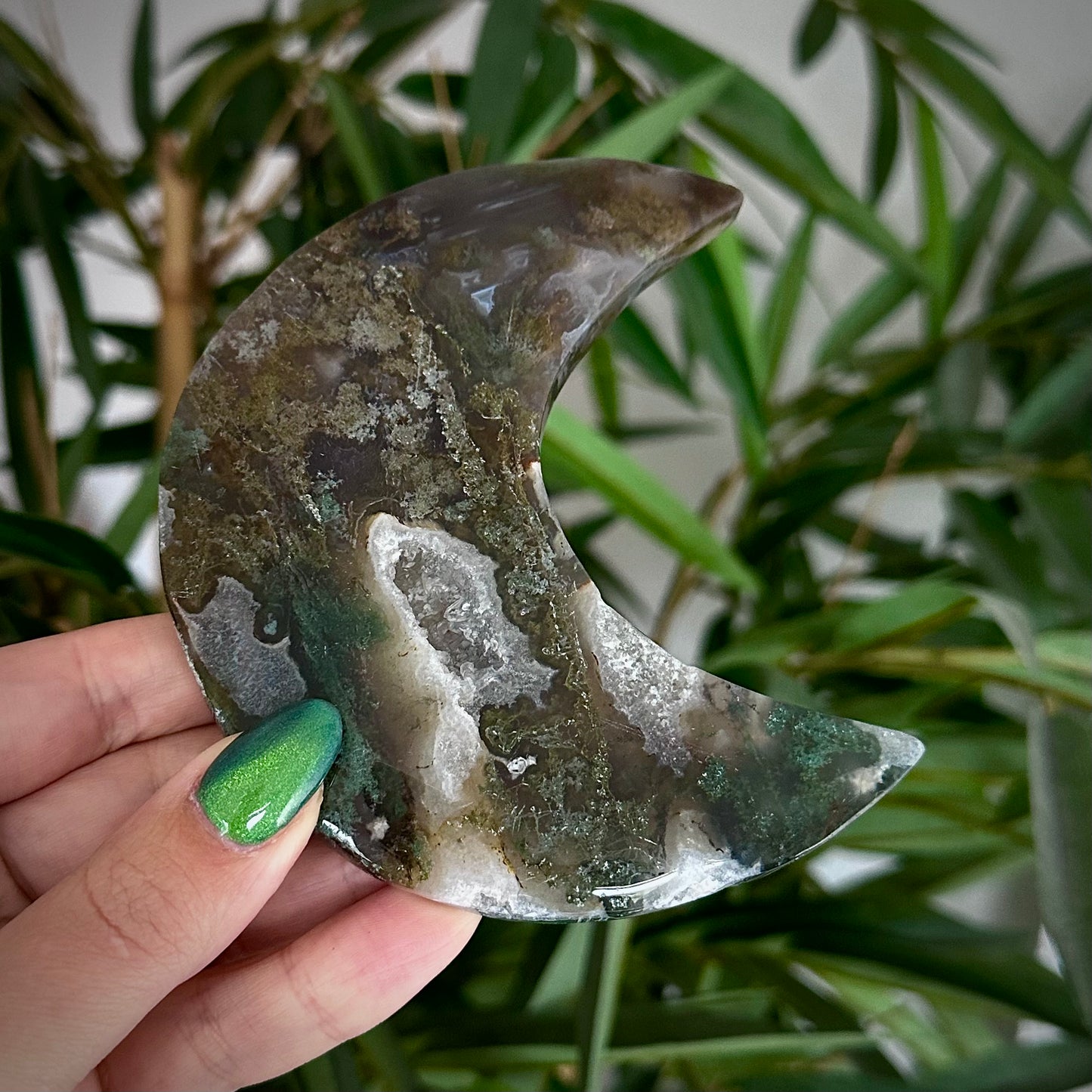 Mosagaat manen op standaard