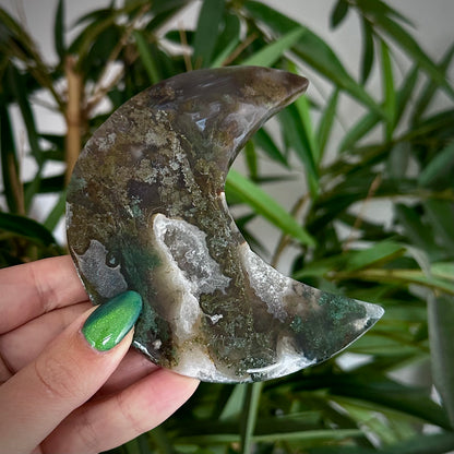 Mosagaat manen op standaard