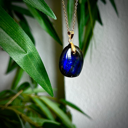 Labradoriet kettinghangers - goud