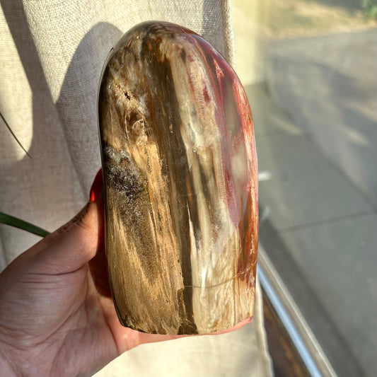 Versteend hout sculptuur 1377