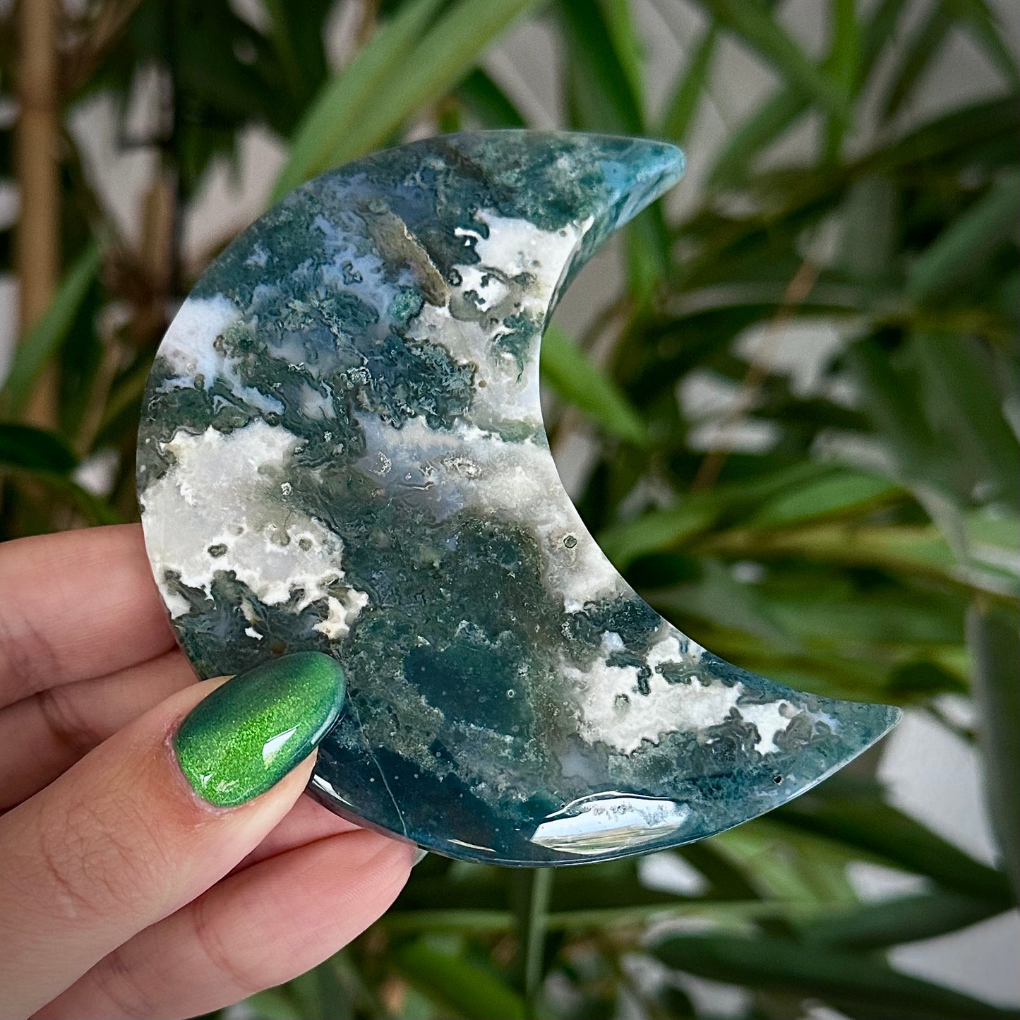 Mosagaat manen op standaard