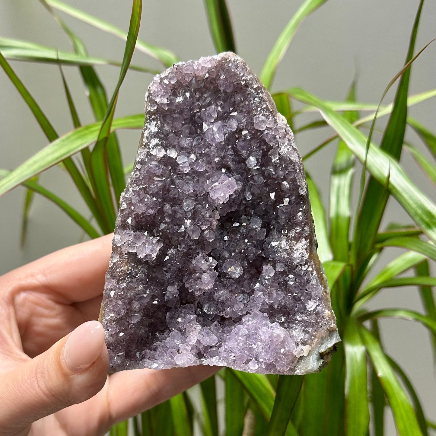 Diverse amethist clusters