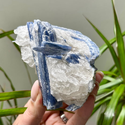 Ruw stuk kyaniet met kwarts