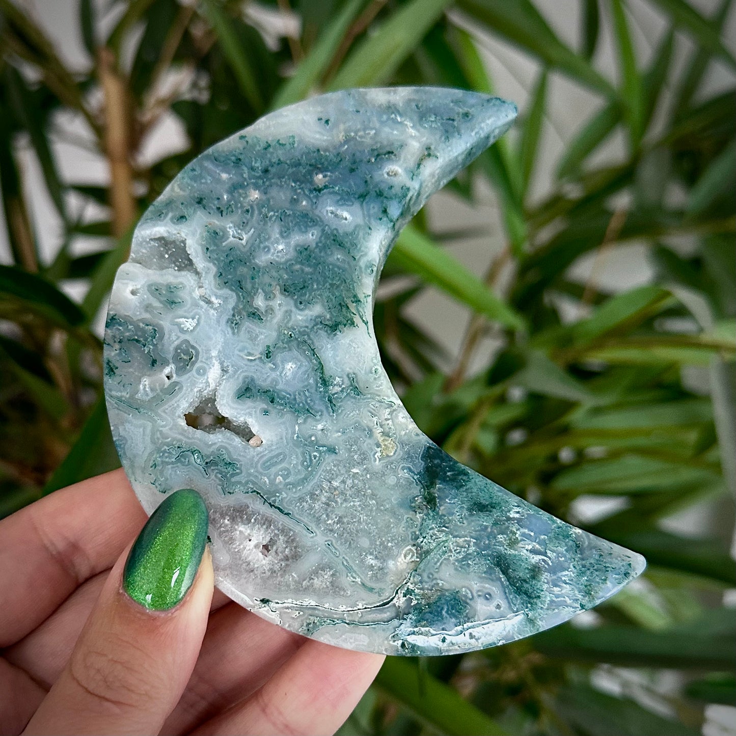 Mosagaat manen op standaard