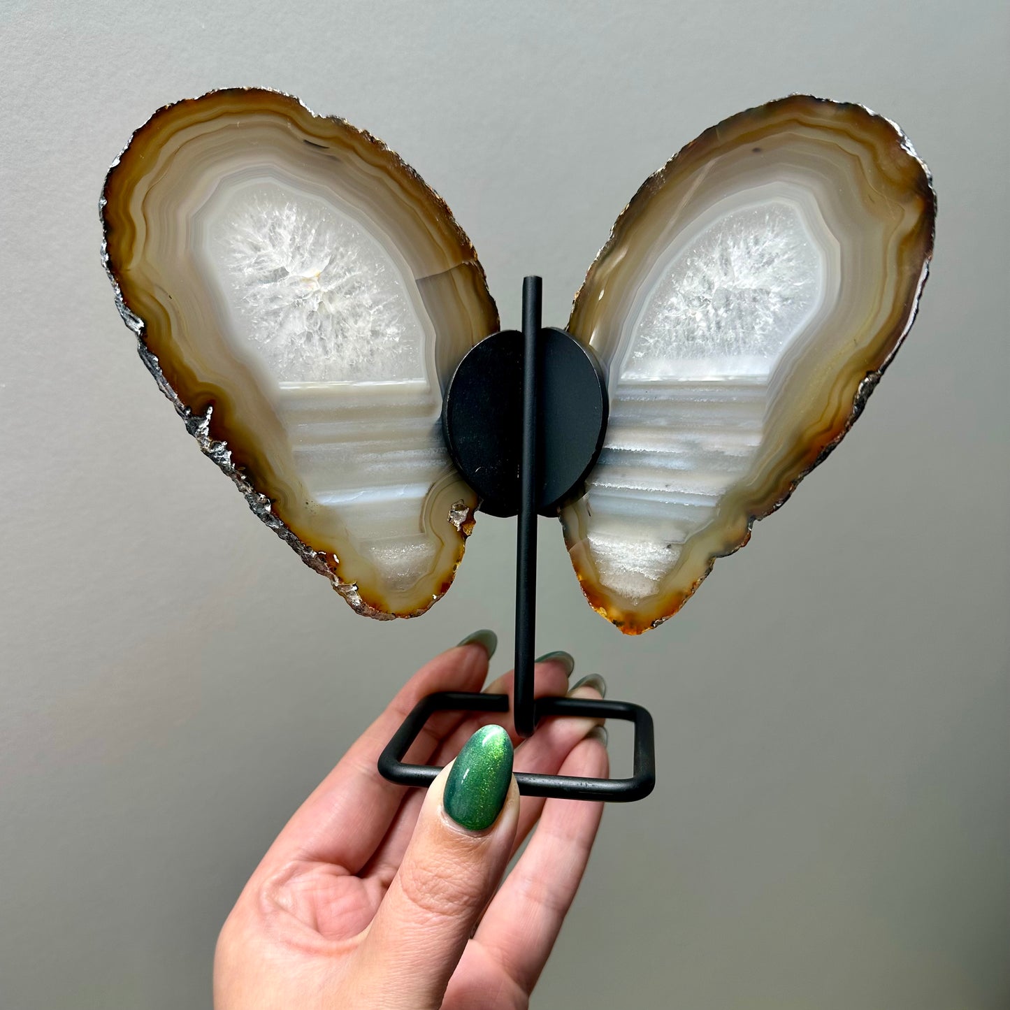 Set vlinders grijs/bruin