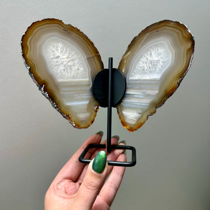 Set vlinders grijs/bruin