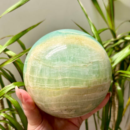 Pistache calciet bol XL