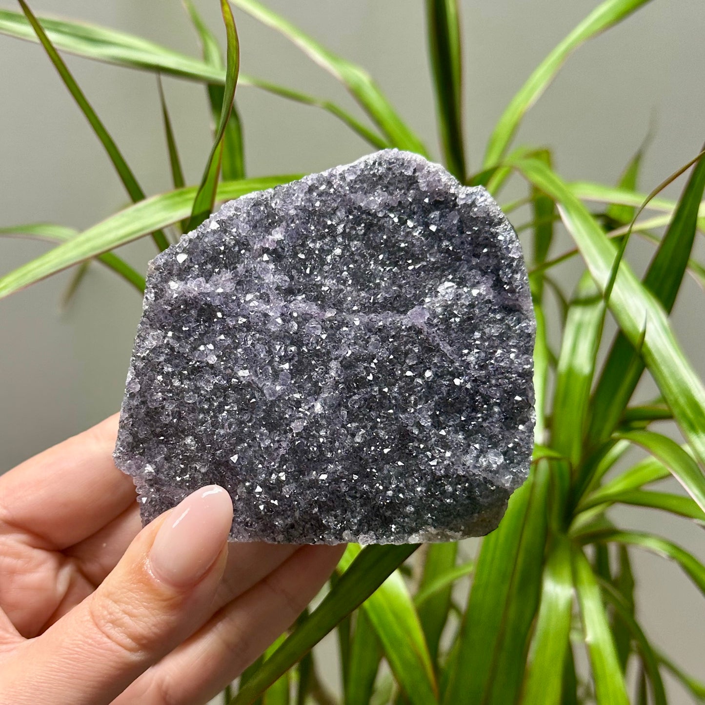 Diverse amethist clusters