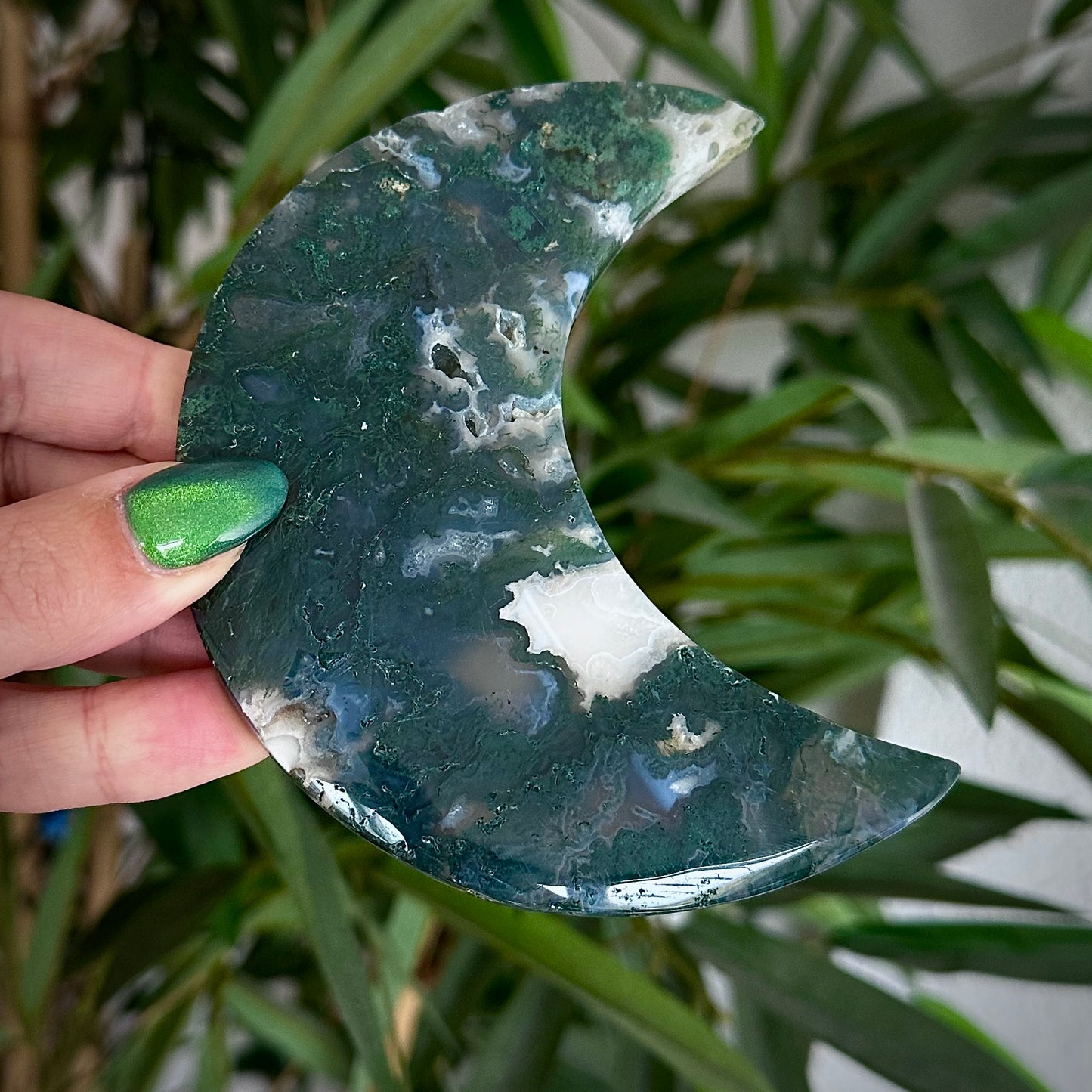 Mosagaat manen op standaard