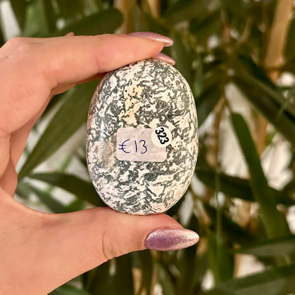 Boomagaat handsteen #323