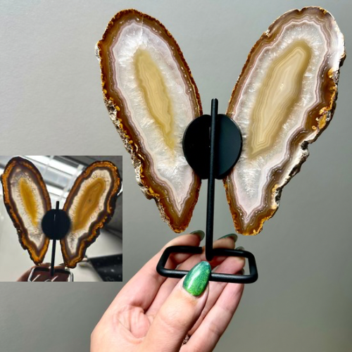 Agaat vlinder op zwart standaard