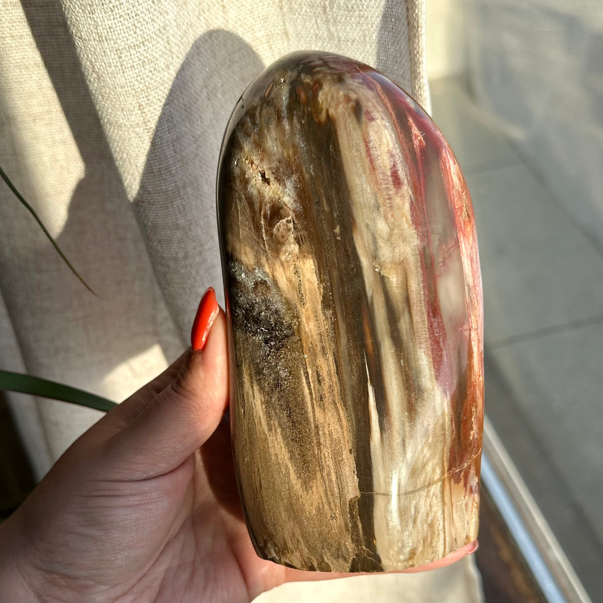 Versteend hout sculptuur 1377