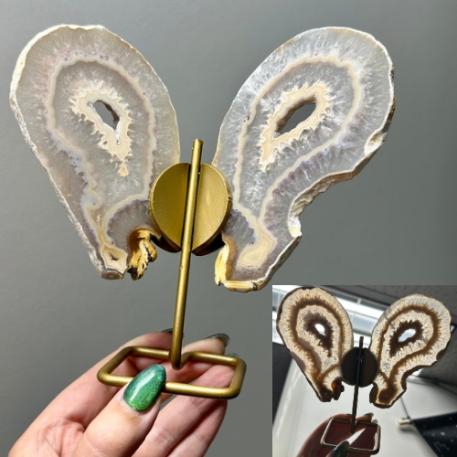 Agaat vlinder op goud standaard