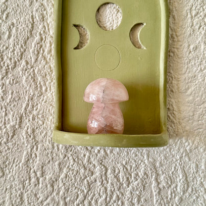 Rozenkwarts paddestoel 1347